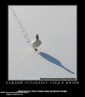 пиар.jpg