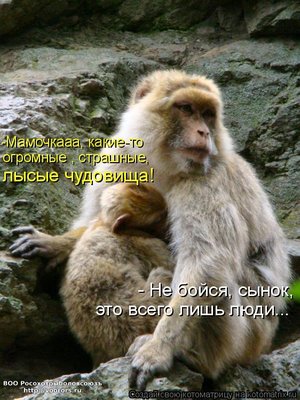 люди.jpg