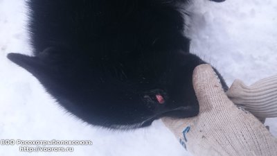 DSC_1303.JPG