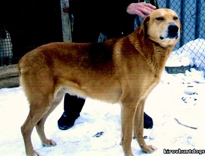 img007.jpg