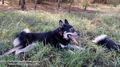 20161005_122346.jpg