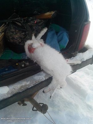IMG_20120101_030104.jpg