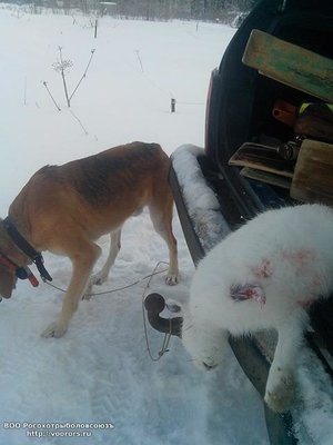 IMG_20120101_030124.jpg