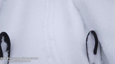 DSC_0005.JPG