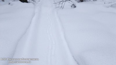 DSC_0006.JPG