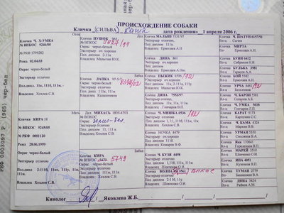 Катя Р2.JPG
