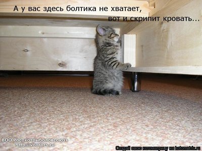 болт.jpg