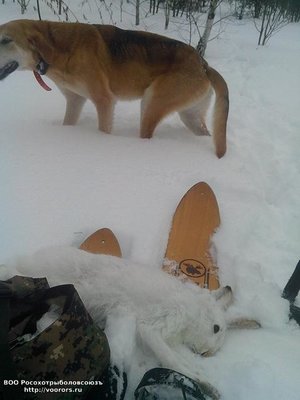 IMG_20120103_030526.jpg
