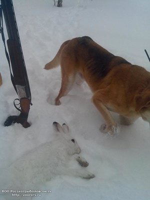 IMG_20120103_030511.jpg