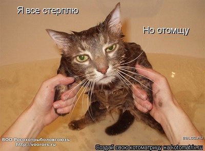 ст.jpg