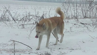 IMG-20161226-WA0003.jpg