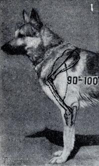000071.jpg