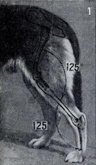 000077.jpg