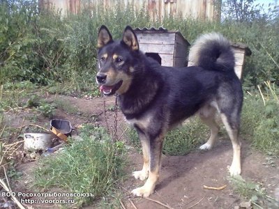 IMG_20150429_204212_14 (1).jpg