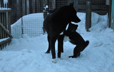 DSC_1054.JPG