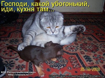 убог.jpg