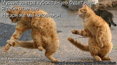 куб.jpg