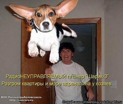 пл.jpg