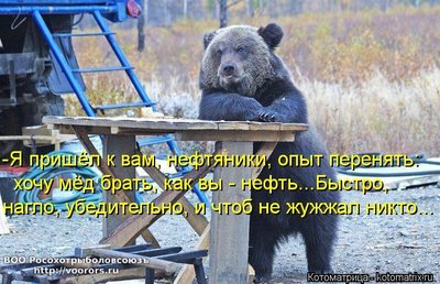 опыт.jpg