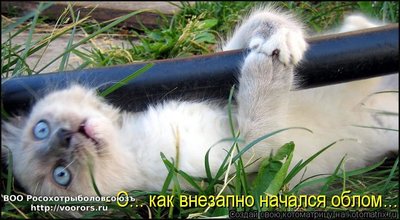 обл.jpg