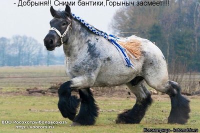 бан.jpg