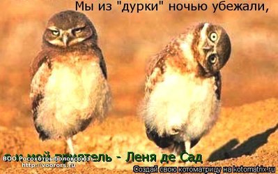 дур.jpg