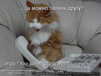 звон.jpg