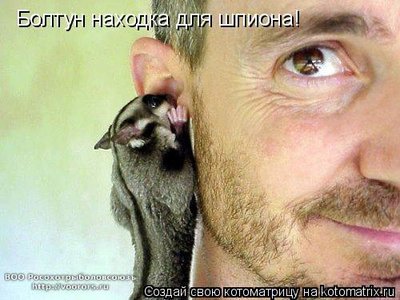 болт.jpg