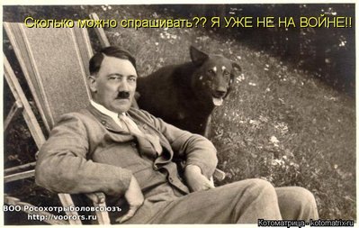 сколь.jpg