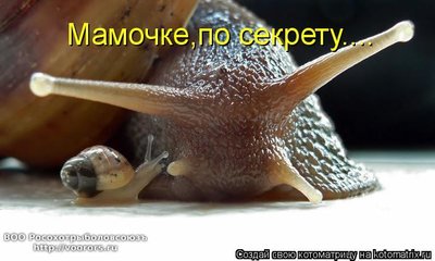 с1.jpg