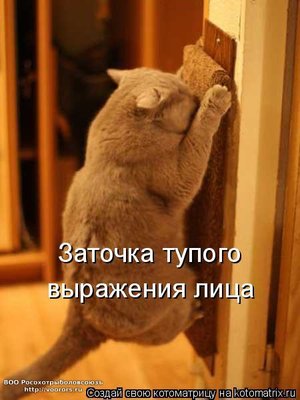 туп.jpg