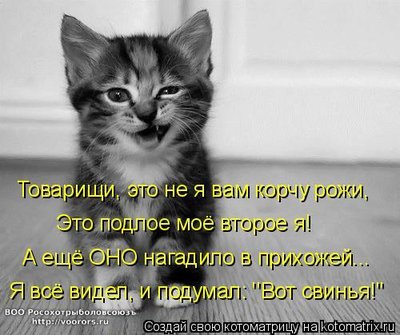 я.jpg