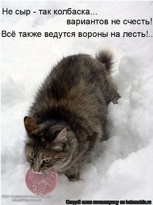 лесть.jpg