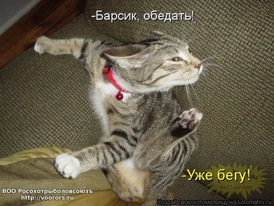 бегу.jpg