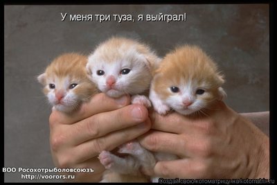туз.jpg