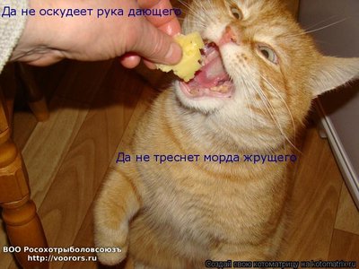 рука.jpg