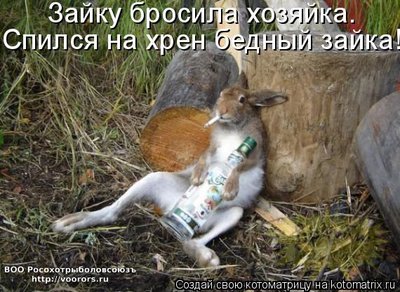 зай.jpg