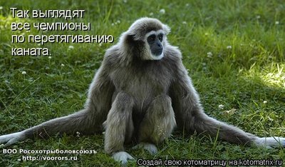 ч1.jpg