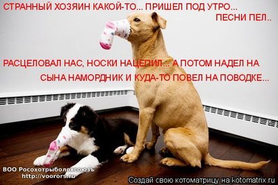 пес.jpg