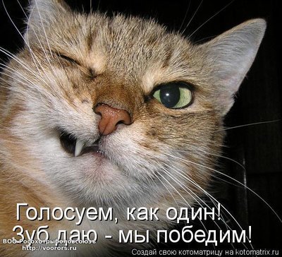 поб.jpg