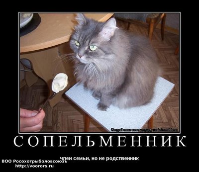 чл.jpg