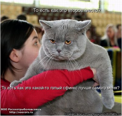 второе.jpg