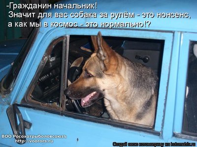 со.jpg