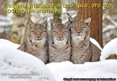 жел.jpg