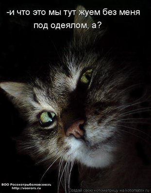 без.jpg