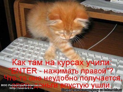 энт.jpg