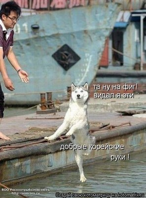 руки.jpg