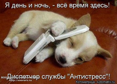 ан.jpg