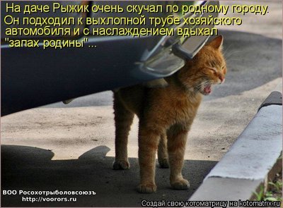 газ.jpg