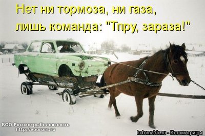 конь.jpg